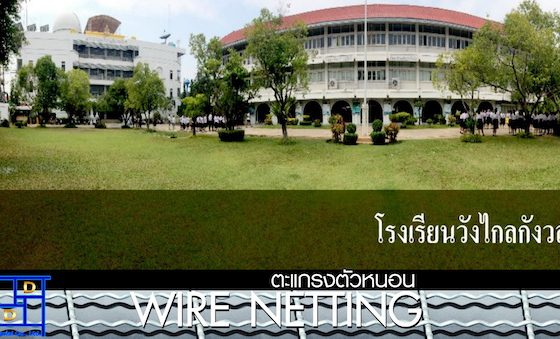 Wire Netting School